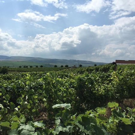 Wineyards Salin Bed and Breakfast Turda Eksteriør billede