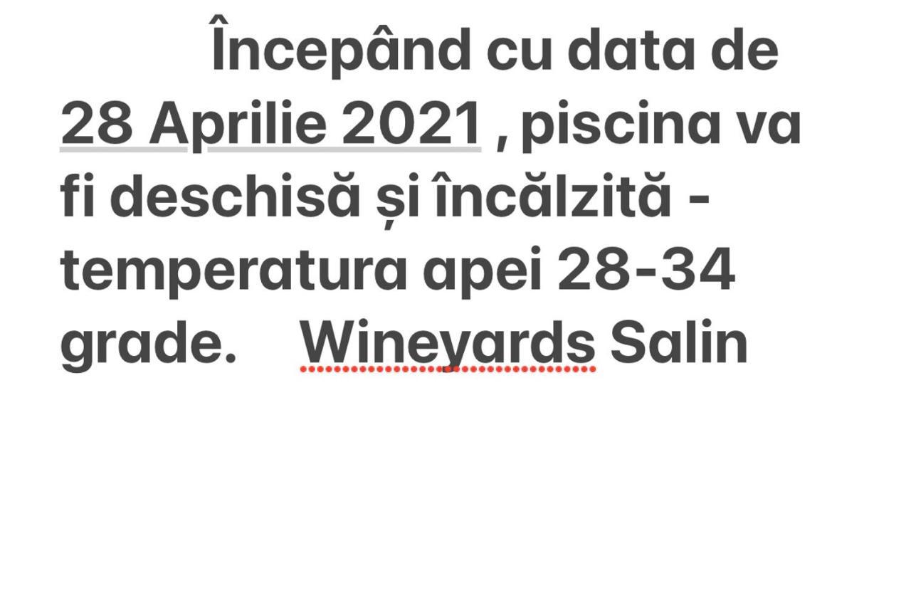 Wineyards Salin Bed and Breakfast Turda Eksteriør billede