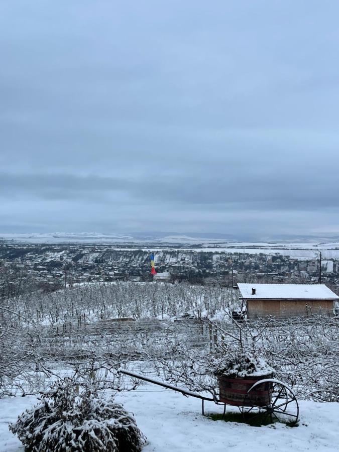 Wineyards Salin Bed and Breakfast Turda Eksteriør billede