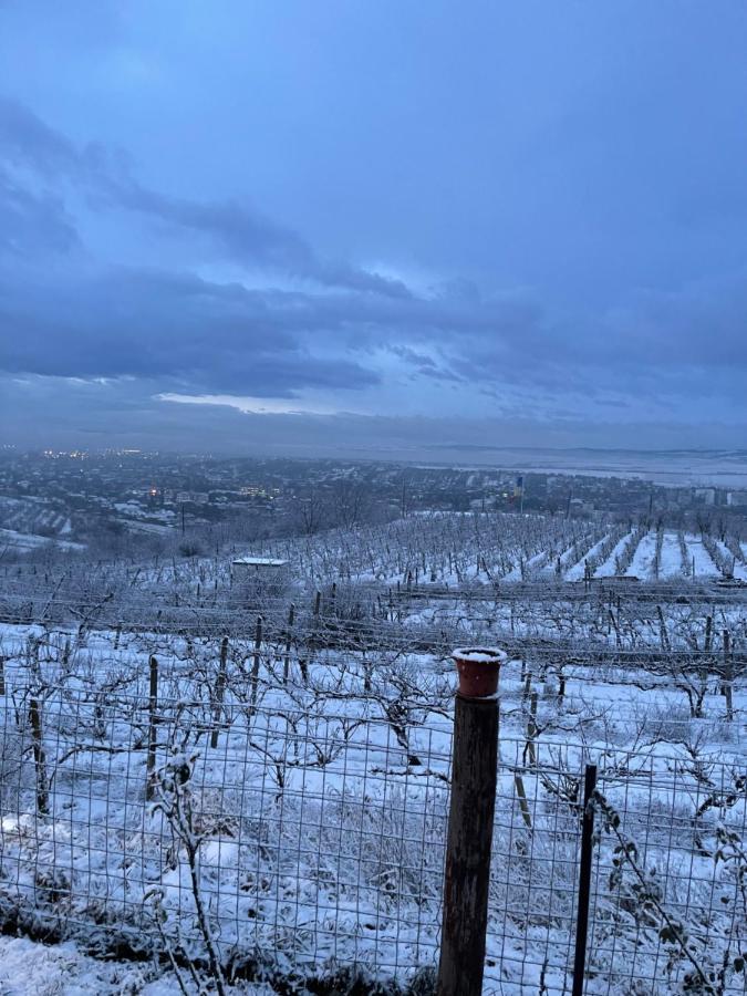 Wineyards Salin Bed and Breakfast Turda Eksteriør billede